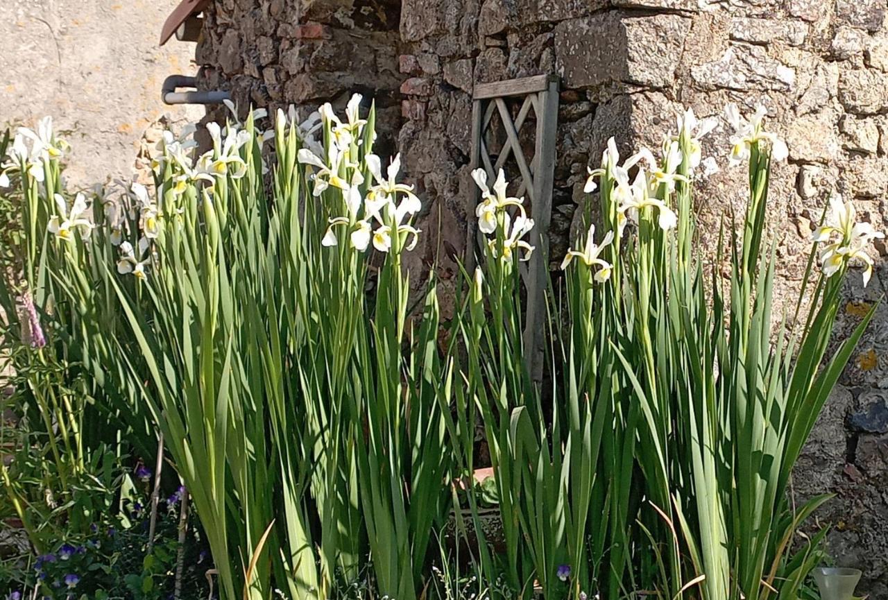 Charmant Gite A La Campagne, Proche Du Puy Du Fou, Les Charmes De Castellariis Pouzauges Exterior photo